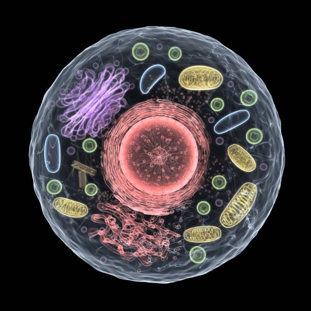Basic Biology Training