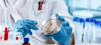Microbiology Lab Technician